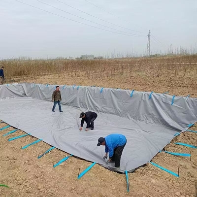 Złata płótnowa z płótna PVC do zbierania wody deszczowej dla rolnictwa