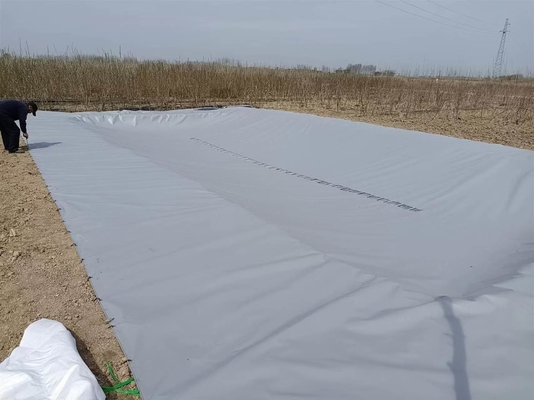Złata płótnowa z płótna PVC do zbierania wody deszczowej dla rolnictwa