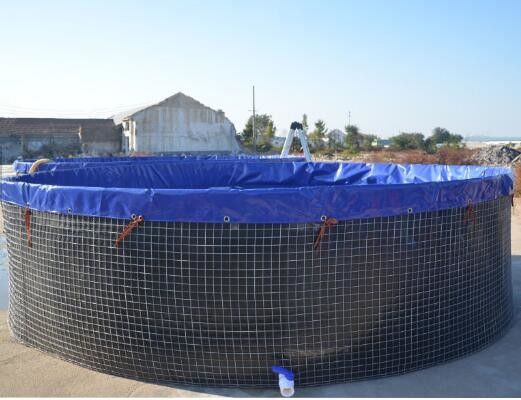 16 m średnica 301.440 litrów składany okrągły staw rybny PVC Tarpaulin zewnętrzny zbiornik rybny