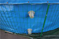 Składany staw rybny z plandeką PCV o pojemności 50000 litrów ze stalową siatką