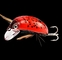 Pływająca mała Minnow Bait Crank Beetle 8 kolorów 3,8 cm / 4,1 g