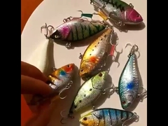 Plastikowe przynęty Rybołówstwo morskie Laserowe przynęty bioniczne