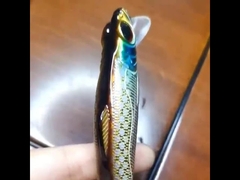 Łowy z tworzyw sztucznych Rybołówstwo morskie