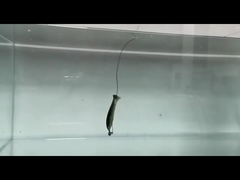 PVC Loach Miękkie przynęty silikonowe fałszywe miękkie przynęty