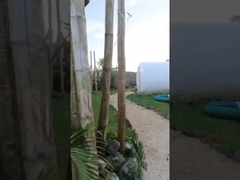 Pomieszczenie hotelowe Dom zewnętrzny namiot z pęcherzami